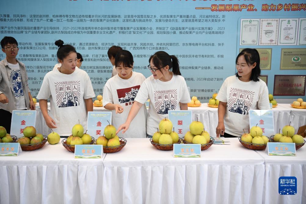 大发官网注册